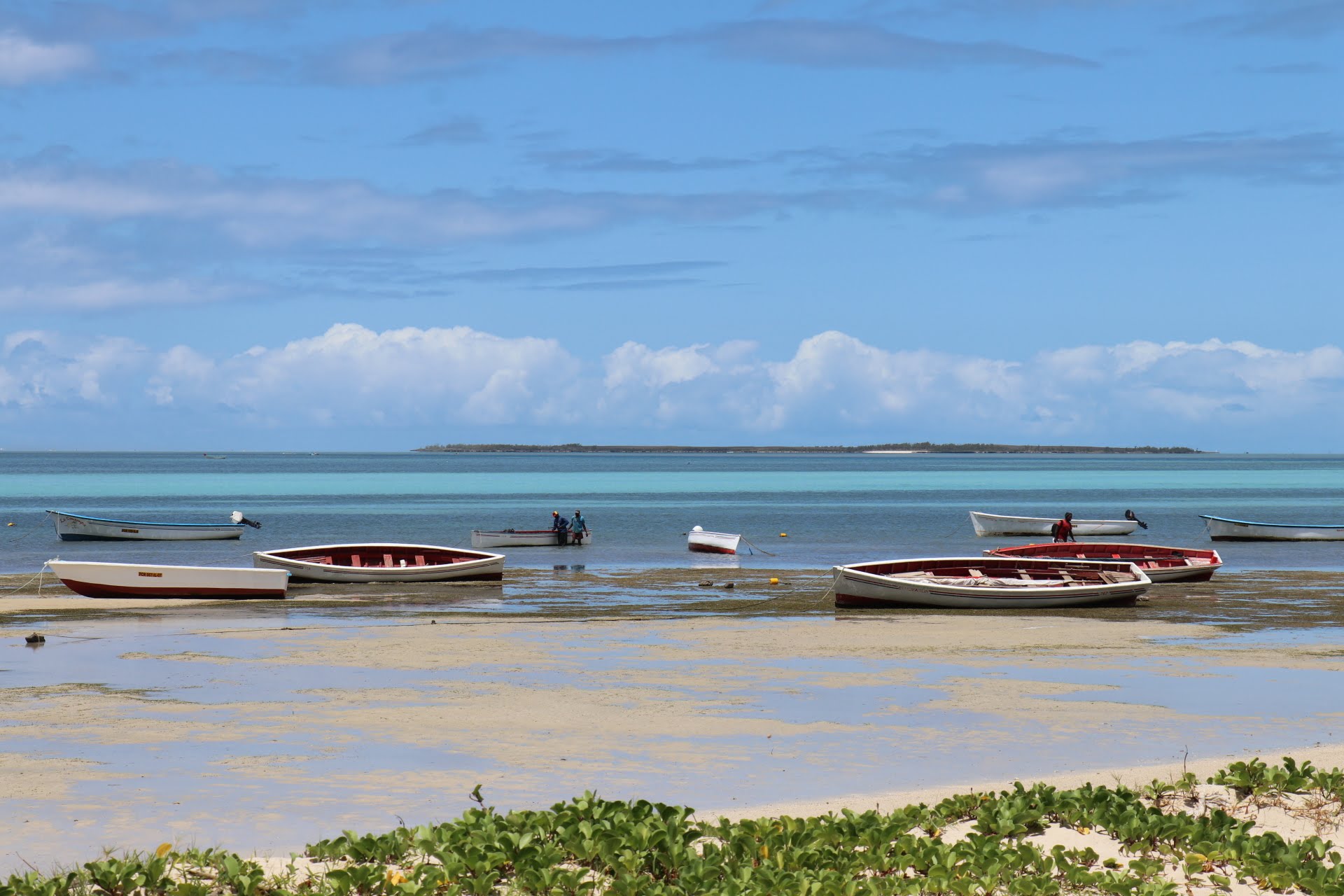 Rodrigues